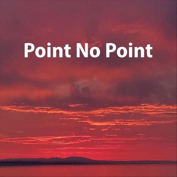 Cover art for Point No Point